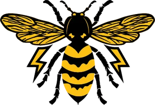 Elektro Yellowjacket